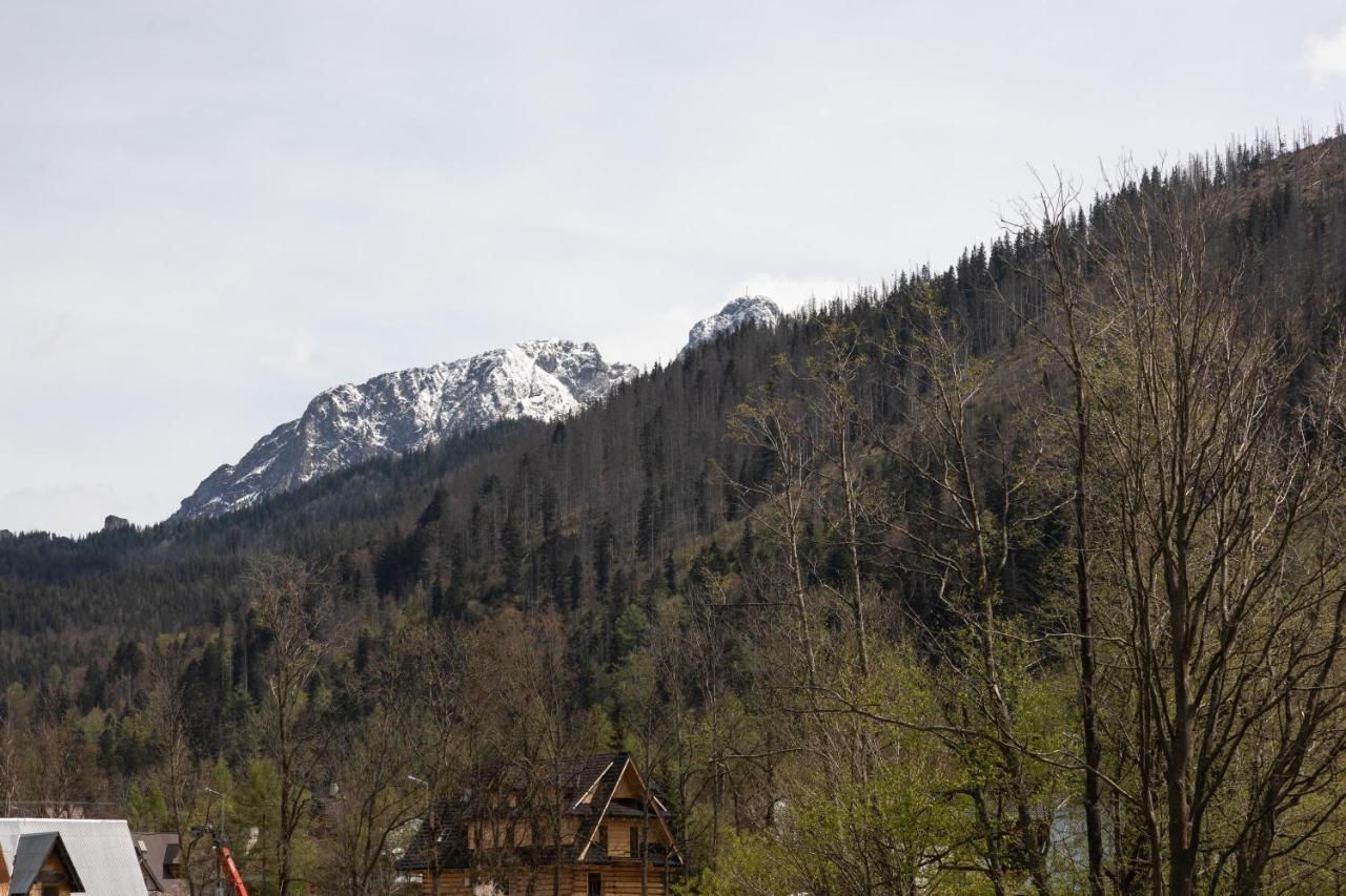 Dolina Resort Zakopane Kościelisko Eksteriør billede