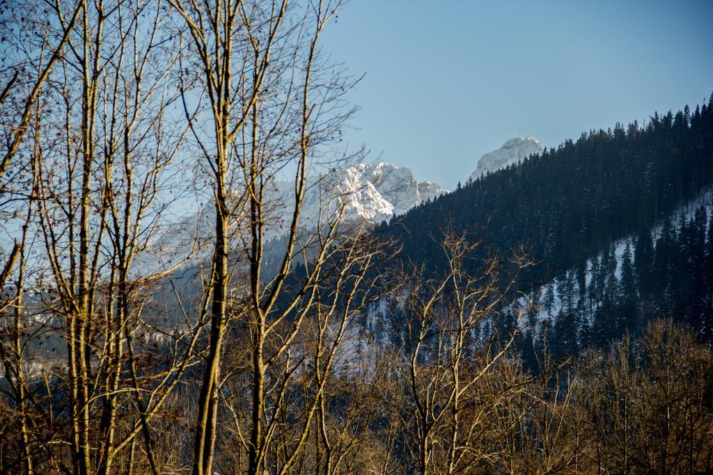 Dolina Resort Zakopane Kościelisko Værelse billede